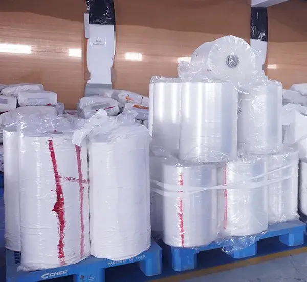PP Bags / Rolls